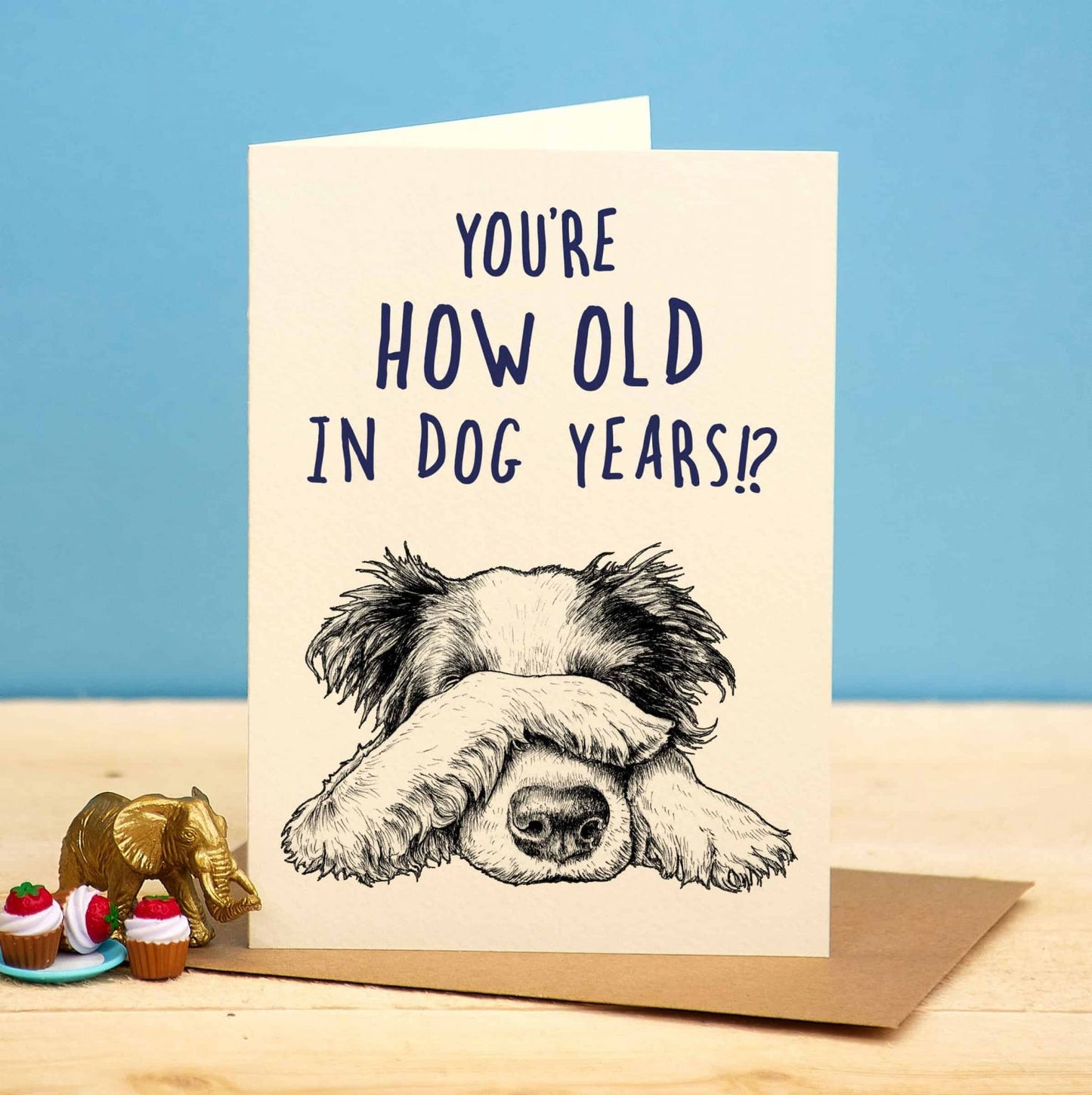 You’re how old in dog years!?