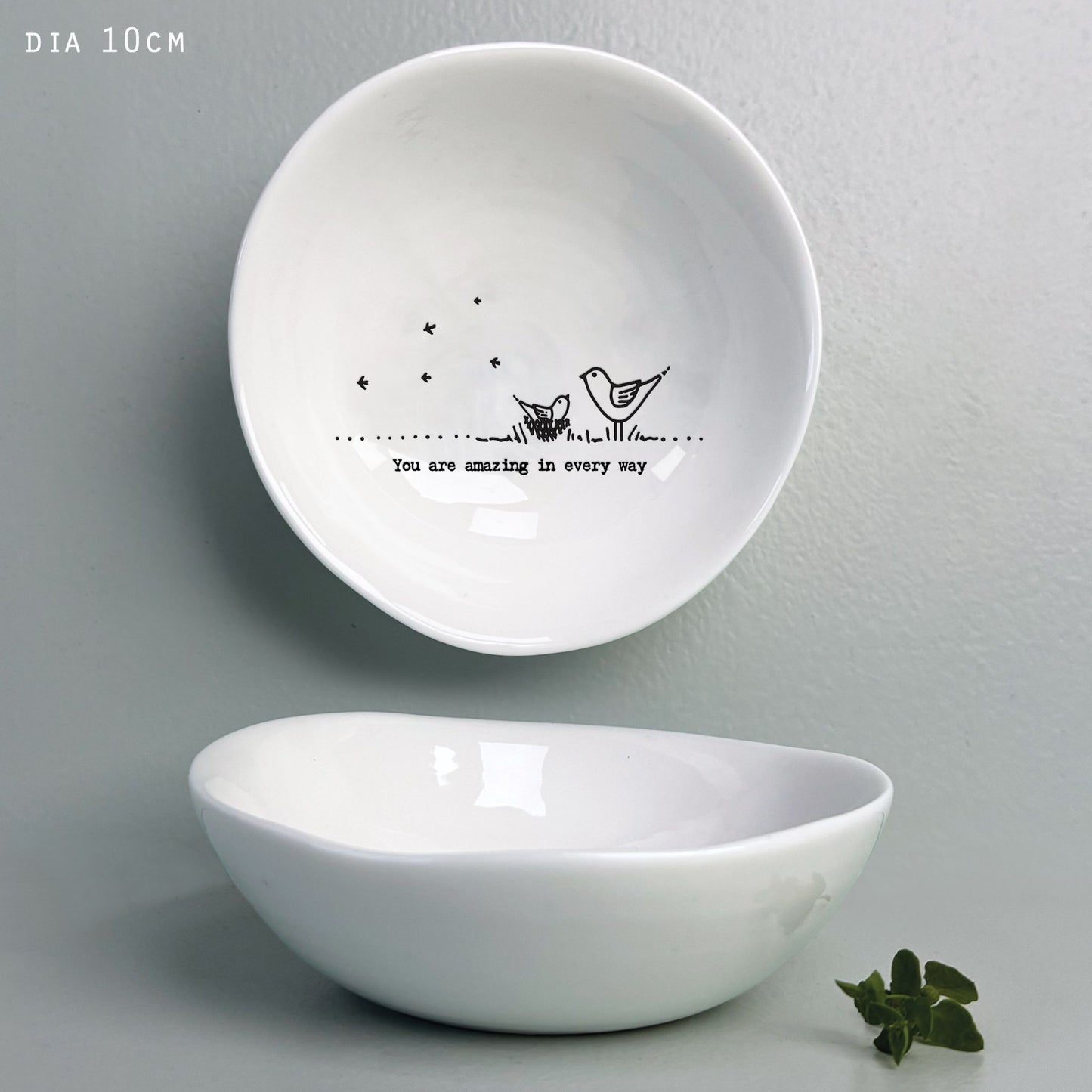 Porcelain Bowl - You’re amazing in every way