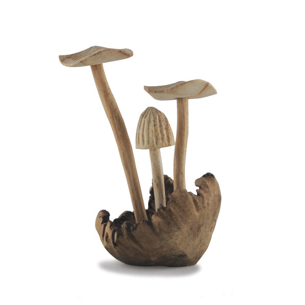 Mushroom Fungi on rustic woodland base
