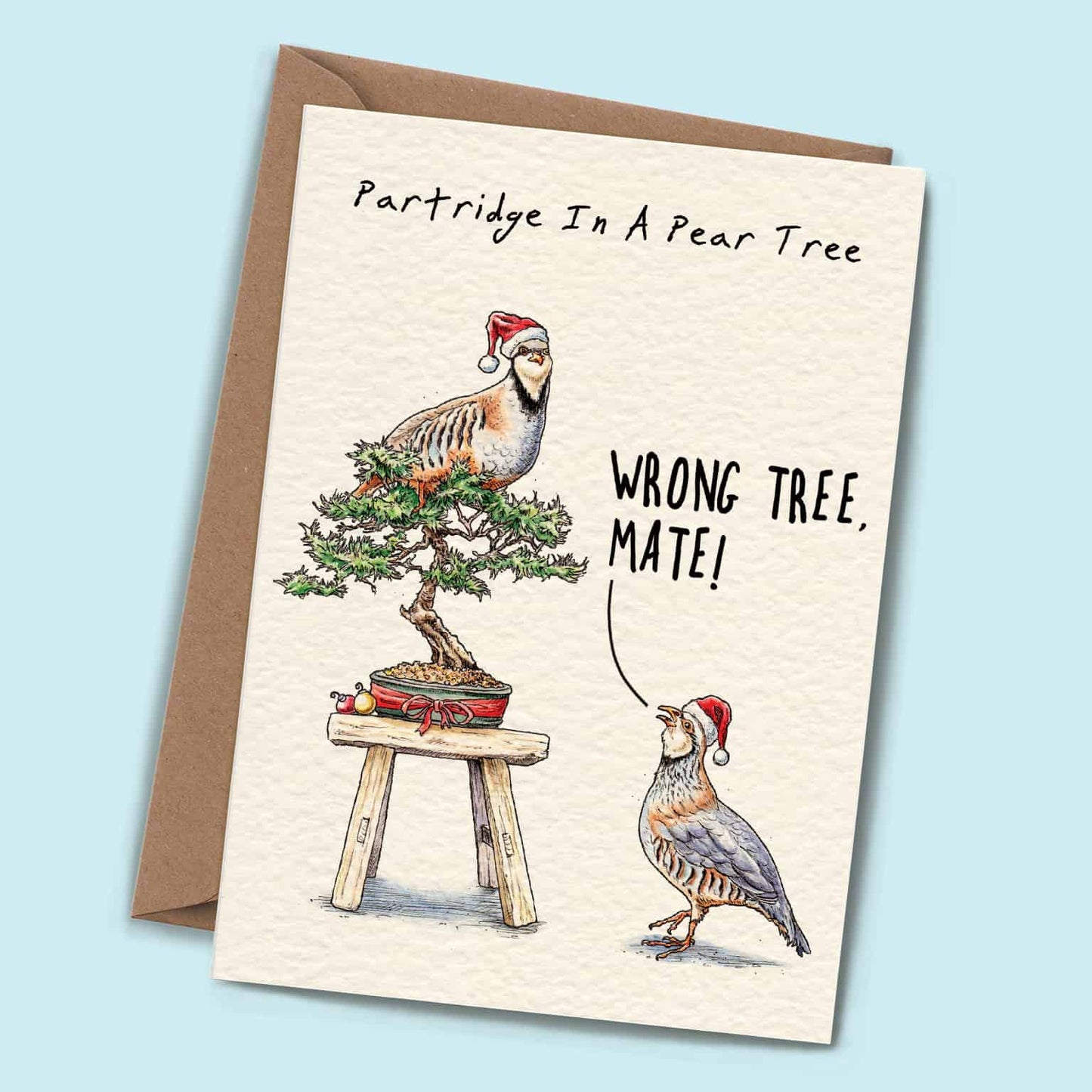 Partridge Christmas - Christmas Card