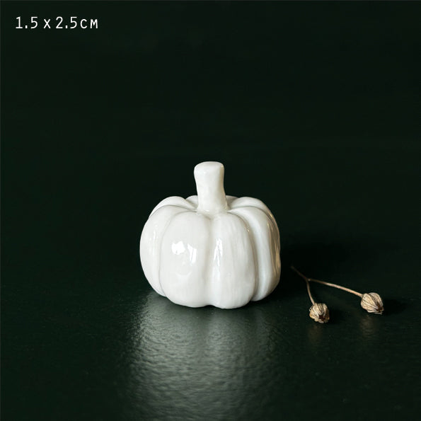 Natural white porcelain pumpkin