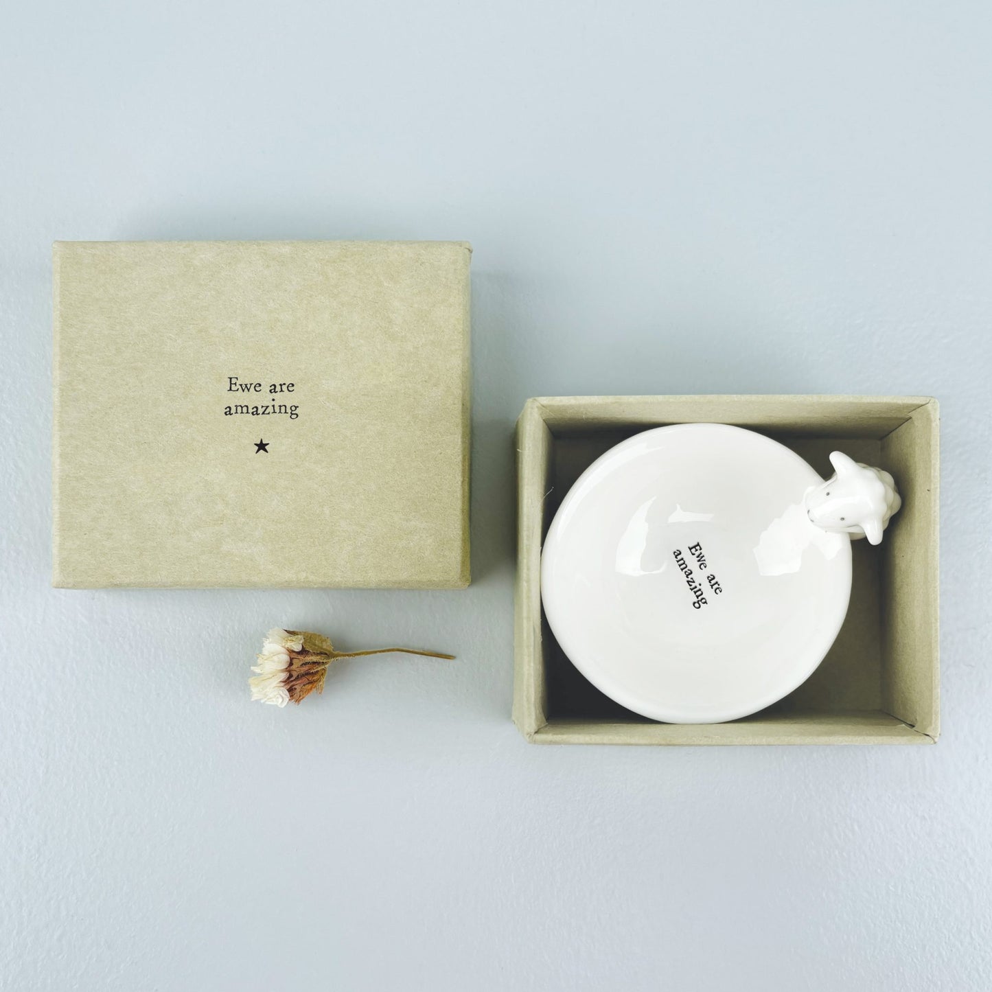 Small Porcelain Bowl - Sheep/ Ewe are amazing