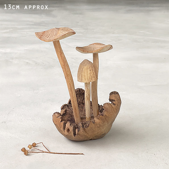 Mushroom Fungi on rustic woodland base