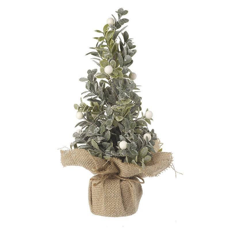 Eucalyptus Tree with hessian base