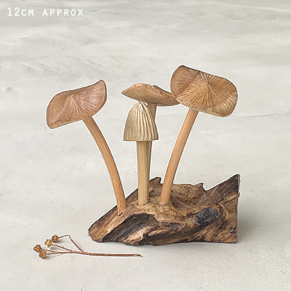 Mushroom Fungi on rustic woodland base