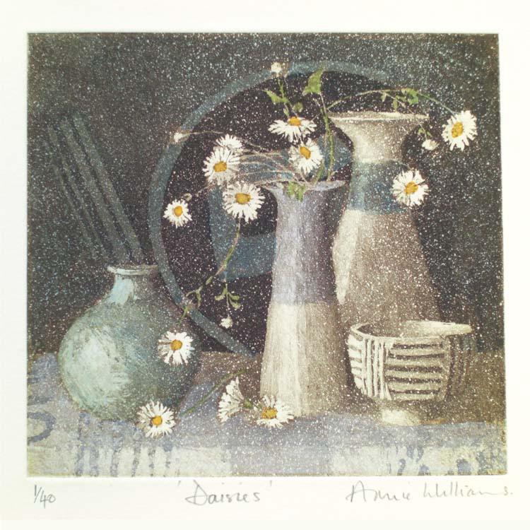 Daisies - Greetings card