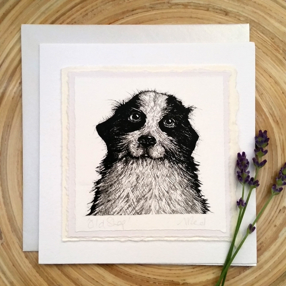 Old Shep, Dog - Greetings Card