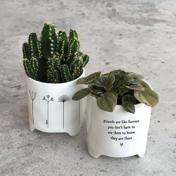 Porcelain Planter - Friends are like flowers