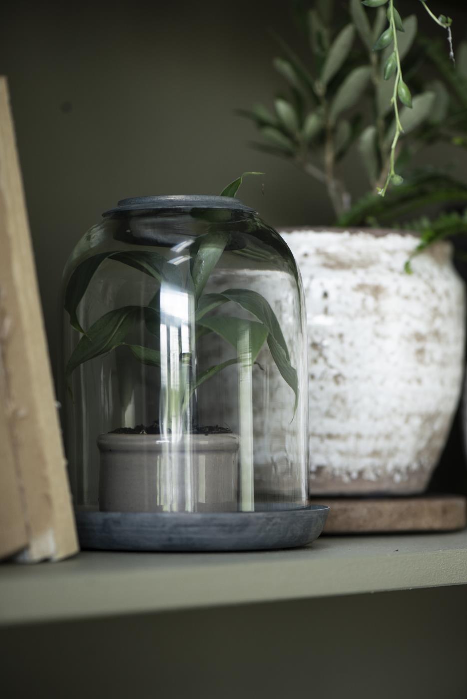 Glass cover with a hole in the top and metal tray