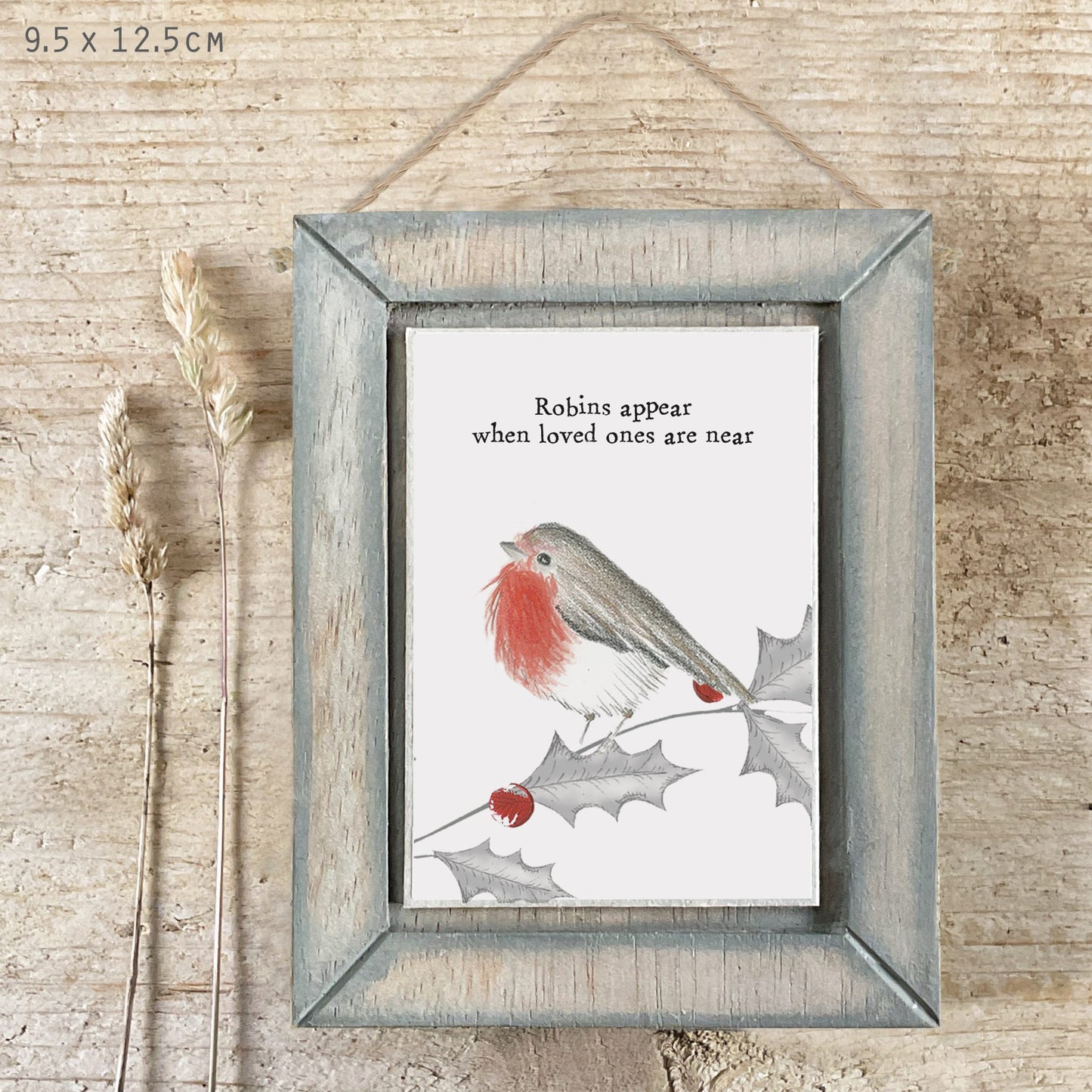Robins Appear when Loved Ones are near