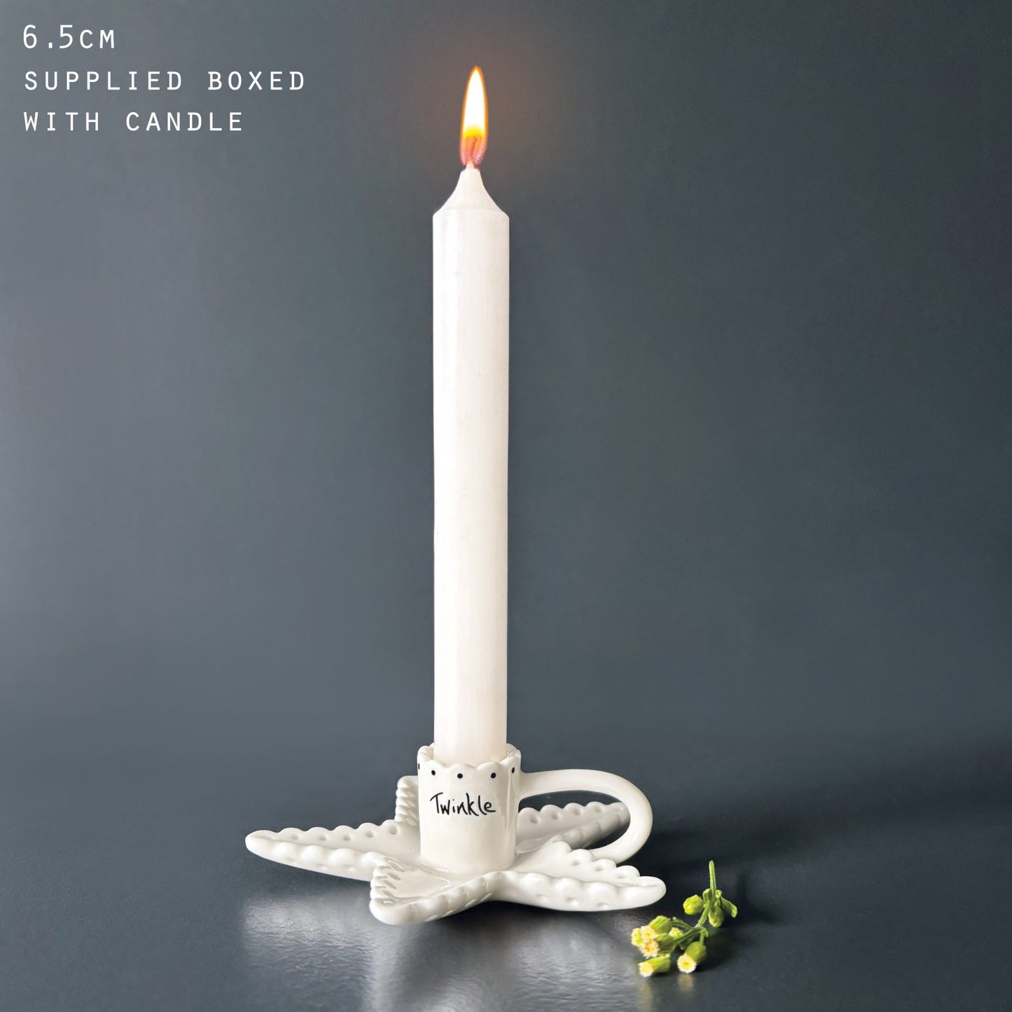 Twinkle - Scallop candle holder