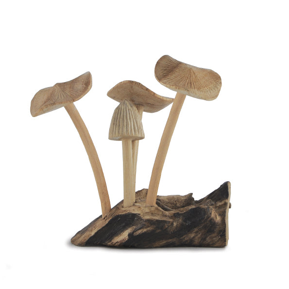 Mushroom Fungi on rustic woodland base