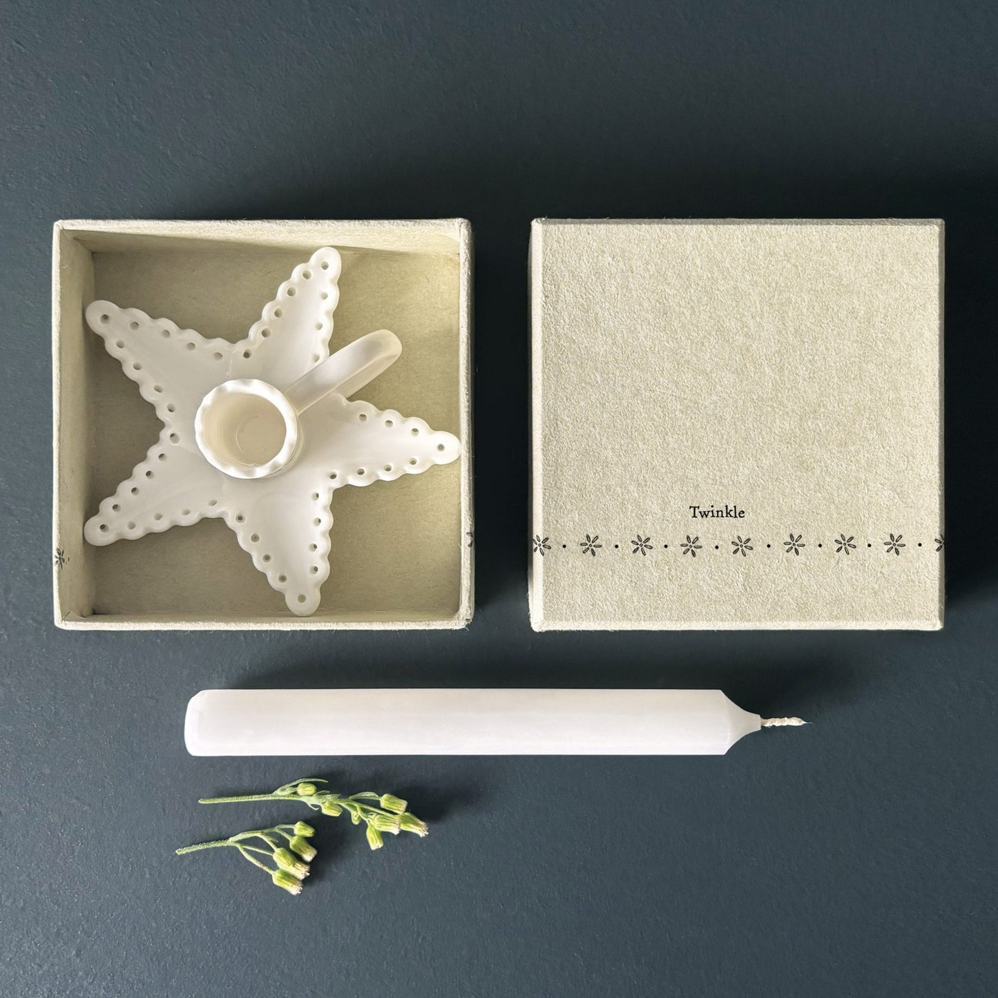 Twinkle - Scallop candle holder
