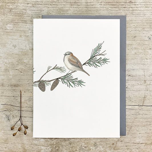 Bird & Berry card - Sparrow