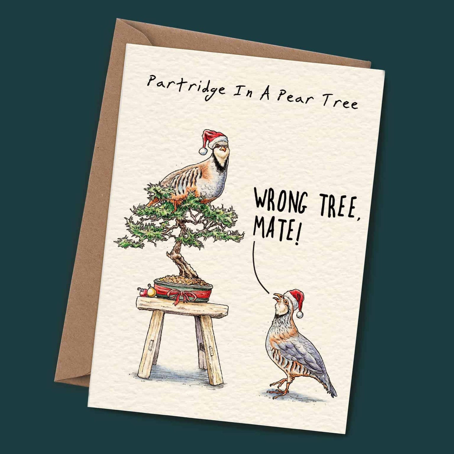 Partridge Christmas - Christmas Card