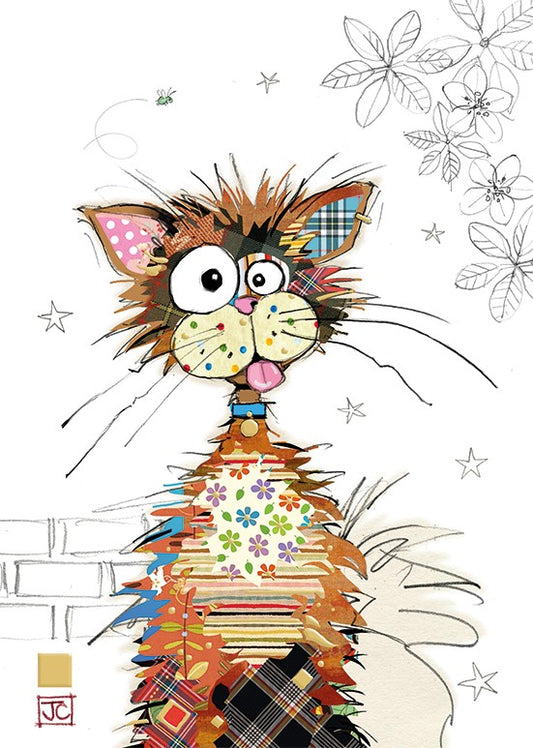 Ziggy Cat - Blank Greetings card