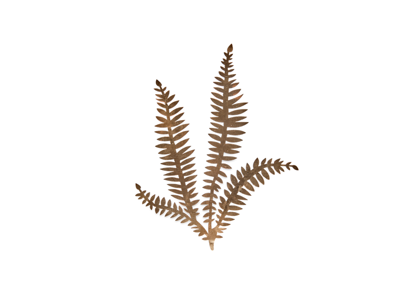 Nkuku Kiko large foliage artwork - Brass