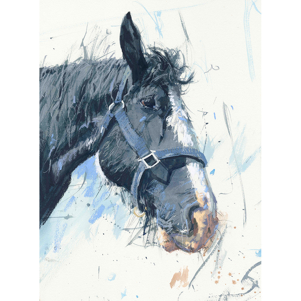 The Young Shire Horse Limited Edition Print by James Bartholomew