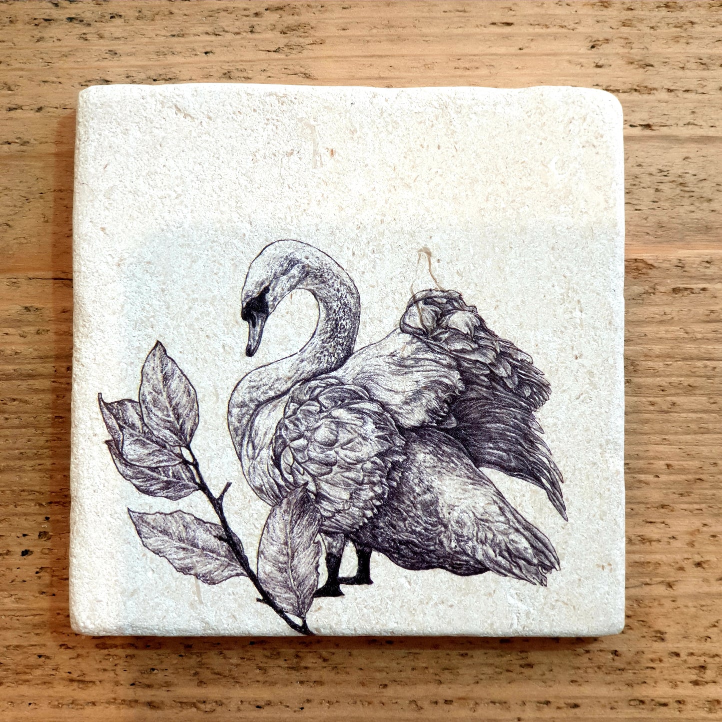 Natural Stone Coaster- Mute Swan