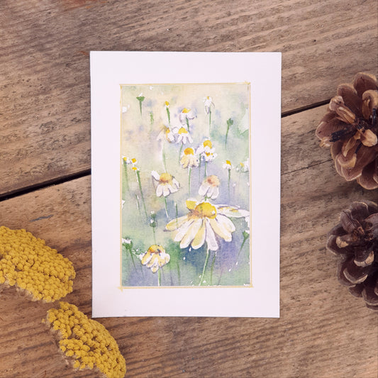 Original Watercolour Daisies