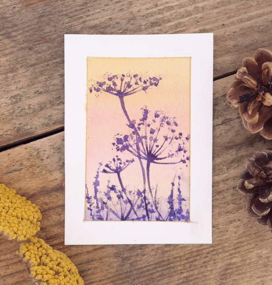 Original Watercolour Cow Parsley seedheads