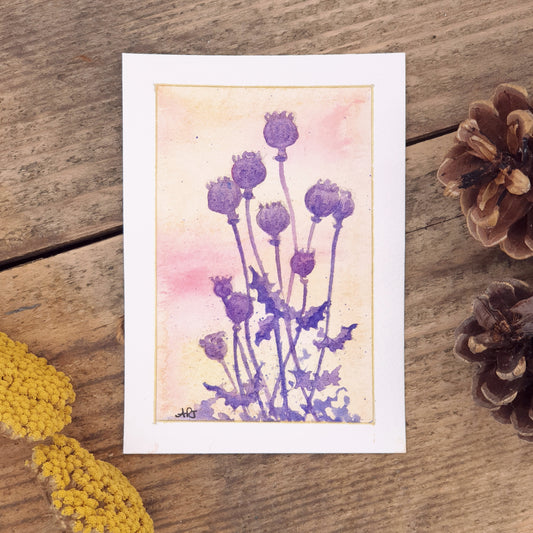 Original Watercolour Poppy Seedheads