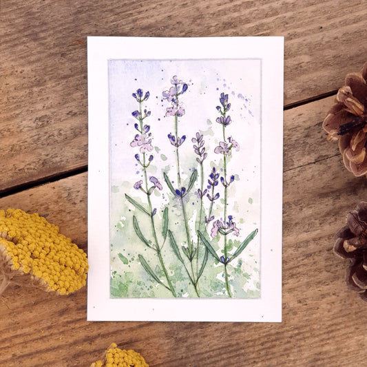 Original Watercolour Lavender