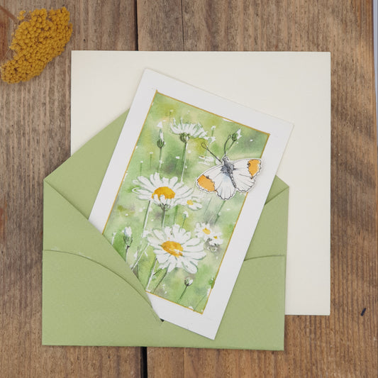Original Watercolour Miniature - Butterfly with Daisies
