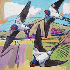 Swallows - Greetings card
