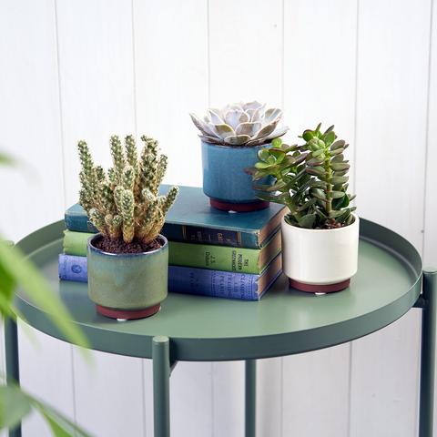 Malibu Glazed Succulent Pot