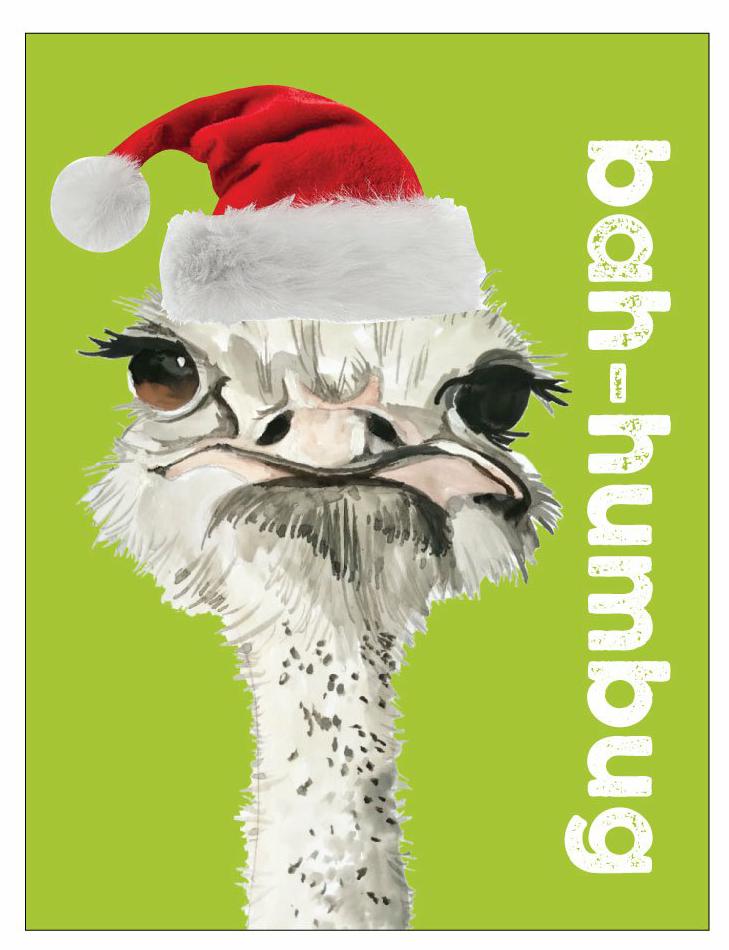 Bah-humbug - 5 pack of Christmas cards