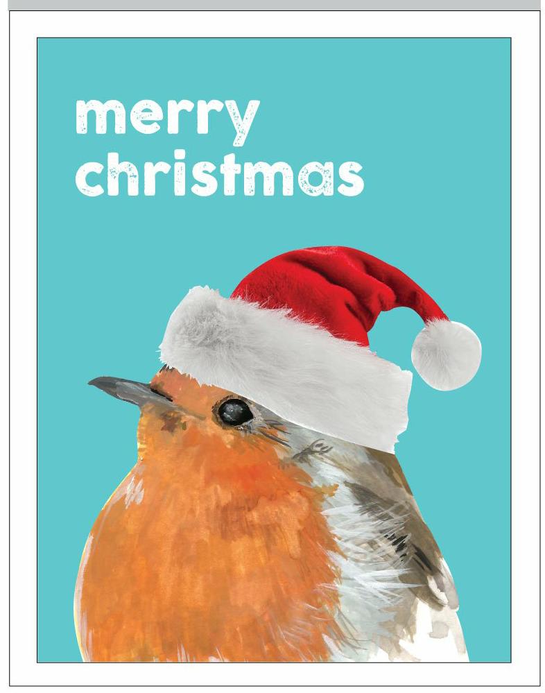 Merry Christmas Robin - 5 pack of Christmas cards