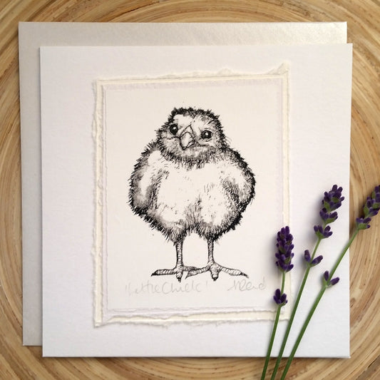 Little Chick - Greetings Card