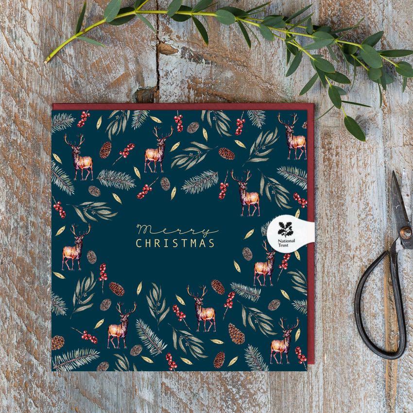 Merry Christmas - Luxury box of 5 Christmas Card Pack