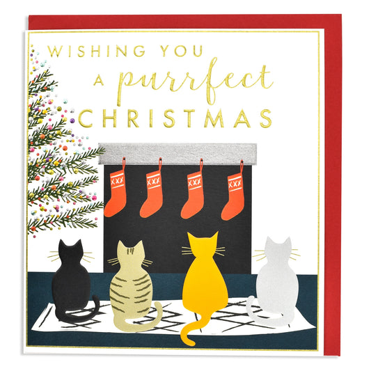 Wishing you a purrfect Christmas - Cats and stockings Card