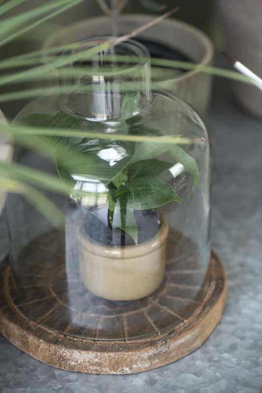 Glass cover with a hole in the top