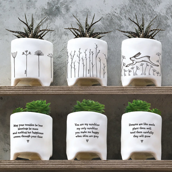 Porcelain Planter - Dreams are like seeds