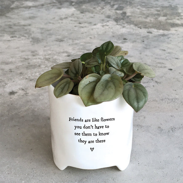 Porcelain Planter - Friends are like flowers