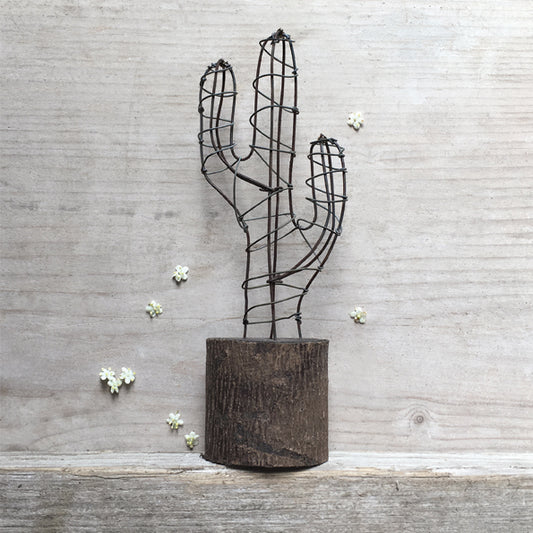 Rusty wire Cactus - large