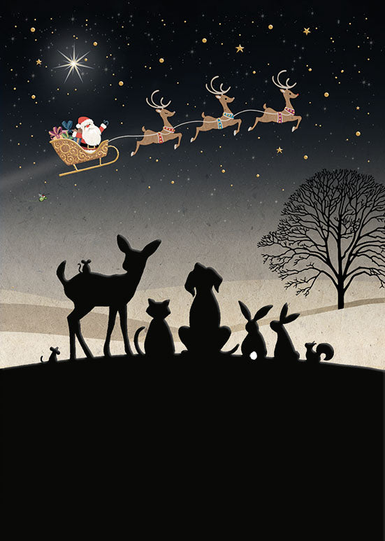 Santa Gazing - Christmas Cards Pack
